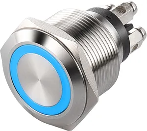 12mm 16mm 19mm 22mm Flattest Metal Momentary Waterproof 12V Led Illuminated RGB Push Button Switch