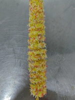 Offres Spéciales Produits de pommes de terre pré-frits surgelés Snack pré-frit chinois Produits semi-finis Tour de pommes de terre en spirale