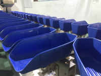 PLC-gestuurde garnalensorteermachine voor vis en fruit, gewichtssortering, 1 jaar garantie, 240 kg getest & gecertificeerd