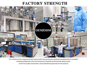 10ml phatoil Huiles essentielles <span class=keywords><strong>de</strong></span> lavande pure biologique <span class=keywords><strong>de</strong></span> marque privée Huile d'aromathérapie <span class=keywords><strong>de</strong></span> massage en gros - Product Image 4