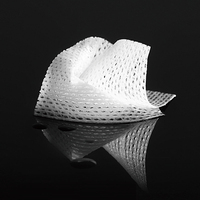 Version améliorée à base de plantes NAISO Meilleur effet d'amélioration du retardant lingettes humides pour le sexe Lingettes humides pour le sexe pour une durée prolongée Produit sexuel pour hommes