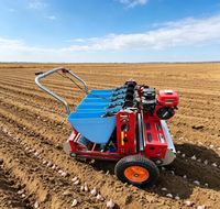 Planteuse d'ail autopropulsée à poussée manuelle, moteur à essence 7,5 CV, machine à semer l'ail de haute qualité pour petites exploitations agricoles