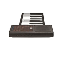 Wholesale Profesional Music Foldable Rolling up Piano Keyboard 88/61 Keys Electronic Organ for Sale