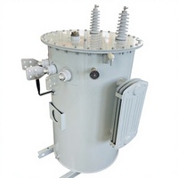 Transformador Monofásico Sumergido en Aceite S11/13 de 400V 220V, Tipo Convencional 13800V 167kVA 75kVA, con Cambiador de Voltaje y Montaje en Poste