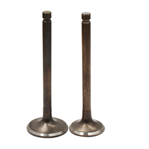 อะไหล่รถจักรยานยนต์ Haojin วาล์วไอดี 2 ชิ้น สำหรับ <span class=keywords><strong>YAMAHA</strong></span> XVS400 XVS400C Drag Star Classic XV400 IN=26M-12111-00-00 <span class=keywords><strong>XV</strong></span> <span class=keywords><strong>400</strong></span> 400cc - Product Image 1