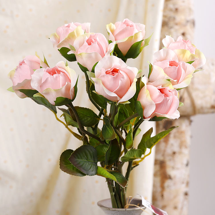 สีชมพูอ่อน