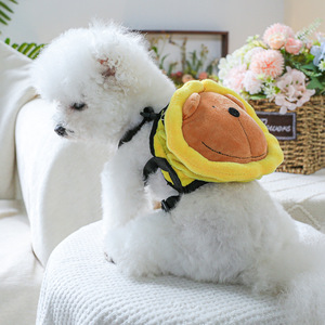 PETCIRCLE pet carrier for dogs and <b>cats</b>, cute little lion <b>backpack</b>, leashed bag - Product Image 4