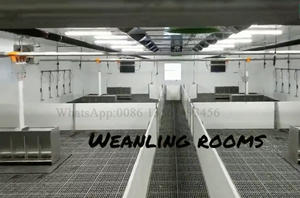 Peralatan Peternakan Babi Berkualitas Tinggi Pena atau Peti untuk Menyapih Anak Babi - Product Image 4