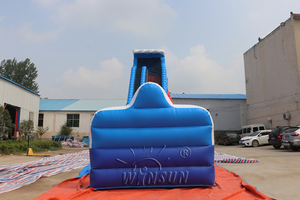 39ft Tall Giant <span class=keywords><strong>Inflatable</strong></span> Nước Trượt Để Bán, Thương Mại <span class=keywords><strong>Inflatable</strong></span> Nước Slides Với Hồ Bơi Cho Người Lớn - Product Image 6