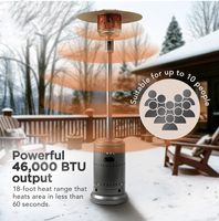 Chauffage portable au gaz infrarouge pour l'extérieur 2025, chauffage rapide, protection épaissie, pulvérisation de fer, chauffage au gaz pour l'extérieur