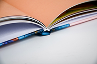 Libro Infantil de Tapa Dura con Impresiones de Primera Calidad, para Preescolar, con Encuadernación Resistente y Duradera