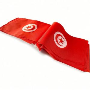 Guirnalda de Banderines de Poliéster con la Bandera Nacional de Túnez, Ideal para Decoración Temática de Países - Product Image 3