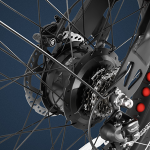 <span class=keywords><strong>Bicicleta</strong></span> Eléctrica Popular Romeo Pro 2 Eahora Personalizable con Motor Dual de 26*4.0 52v, Cuadro de Acero y Luz LED - Product Image 3