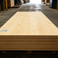 Panneau de contreplaqué multicouche CE E0 pour cadre de lit et tables, contreplaqué mélaminé multicouche 4x8 18mm 9mm, contreplaqué de coffrage filmé