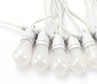 Guirlandes lumineuses LED solaires connectables pour Halloween et Noël, avec ampoules à motif plumeux, longueur totale 8 mètres
