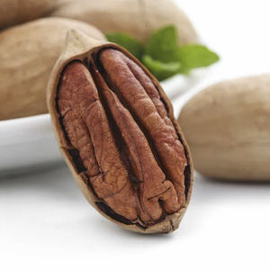 Collations santé en gros à bas <span class=keywords><strong>prix</strong></span> Noyau <span class=keywords><strong>de</strong></span> <span class=keywords><strong>noix</strong></span> <span class=keywords><strong>de</strong></span> pécan - Product Image 5