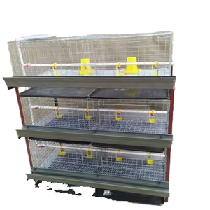 Jaula para <span class=keywords><strong>Pollitos</strong></span> Tipo H, Jaula para Cría <span class=keywords><strong>de</strong></span> Aves <span class=keywords><strong>de</strong></span> Corral, Equipo <span class=keywords><strong>de</strong></span> Avicultura para Cría <span class=keywords><strong>de</strong></span> <span class=keywords><strong>Pollitos</strong></span> Pequeños, Gran Oferta - Product Image 1