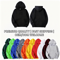 Herensweater & damessweater met borduurwerk, capuchon, fleece, slim fit, effen kleur, casual streetwear, ODM
