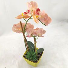 Décoration <span class=keywords><strong>de</strong></span> table d'intérieur, fleurs artificielles <span class=keywords><strong>de</strong></span> graduation, grandes orchidées Phalaenopsis, plante en PE, toucher réaliste, fleurs artificielles roses en <span class=keywords><strong>pot</strong></span> - Product Image 4