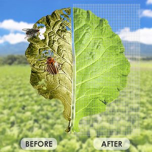 Filet anti-insectes en HDPE 50 mailles <span class=keywords><strong>pour</strong></span> l'agriculture, <span class=keywords><strong>protection</strong></span> contre les insectes volants, filet anti-insectes en plastique UV <span class=keywords><strong>pour</strong></span> plantes et légumes - Product Image 3