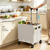 Chariot de rangement à roulettes en PP imprimé sur mesure, écologique, pour le camping, les pique-niques, la cuisine, l'utilisation alimentaire - Capacité 45/65L, chariot pliable