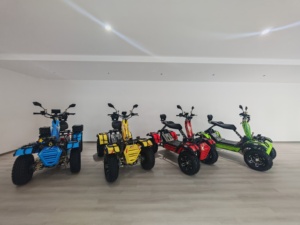 Scooter tout-terrain 4 roues motrices, étanche, avec suspension anti-retournement, autonomie de 120 km pour les aventures en plein air, tout-terrain F - Product Image 6