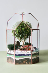 Glass <strong>Terrarium</strong> <strong>Kit</strong> Diamond Shape Glass <strong>Terrarium</strong> Plant Sarufo Glass Plant <strong>Terrarium</strong> <strong>Kit</strong> - Product Image 2