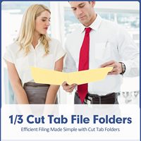 1/3 Cut Tab Letter Size 120 Pack Carpeta de archivos Carpeta de archivo para Office School Business Manila Carpeta de archivos