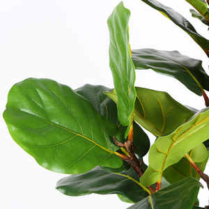 China fabricante de higo árbol <span class=keywords><strong>artificial</strong></span> de <span class=keywords><strong>eucalipto</strong></span> violín-Hoja de higo plantas artificiales - Product Image 4