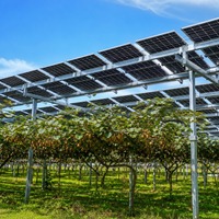 Système de montage solaire agrivoltaïque sur structure de support photovoltaïque au sol pour vergers, pour exploitation agricole commerciale