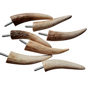 Boutons en résine en forme de corne d'animal, décoration artistique pour la maison, forme sculptée, couleur naturelle - Product Image 1