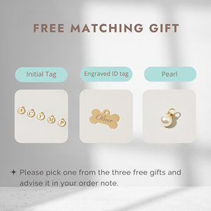 ชุดโบว์พิมพ์ลายขนนกสีขาวแบบส่วนตัวสำหรับลูกสุนัขพร้อมชื่อสลักชื่อปลอกคอสุนัขสำหรับเด็กผู้ชายของขวัญแต่งงาน - Product Image 3