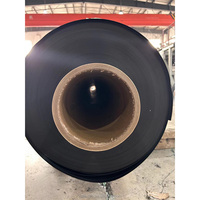 Rouleau de bâche HDPE laminé haute résistance 0.25 0.35 0.5 0.75mm pour l'aquaculture agricole