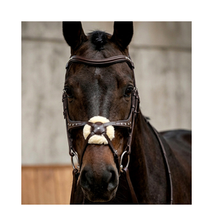 Brida Ecuestre Premium Grackle, Brida en Forma de 8, Brida Mexicana para Caballos - Product Image 3