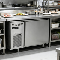 Réfrigérateur commercial sous comptoir en acier inoxydable, plan de travail réfrigéré pour boulangerie, café, cuisine