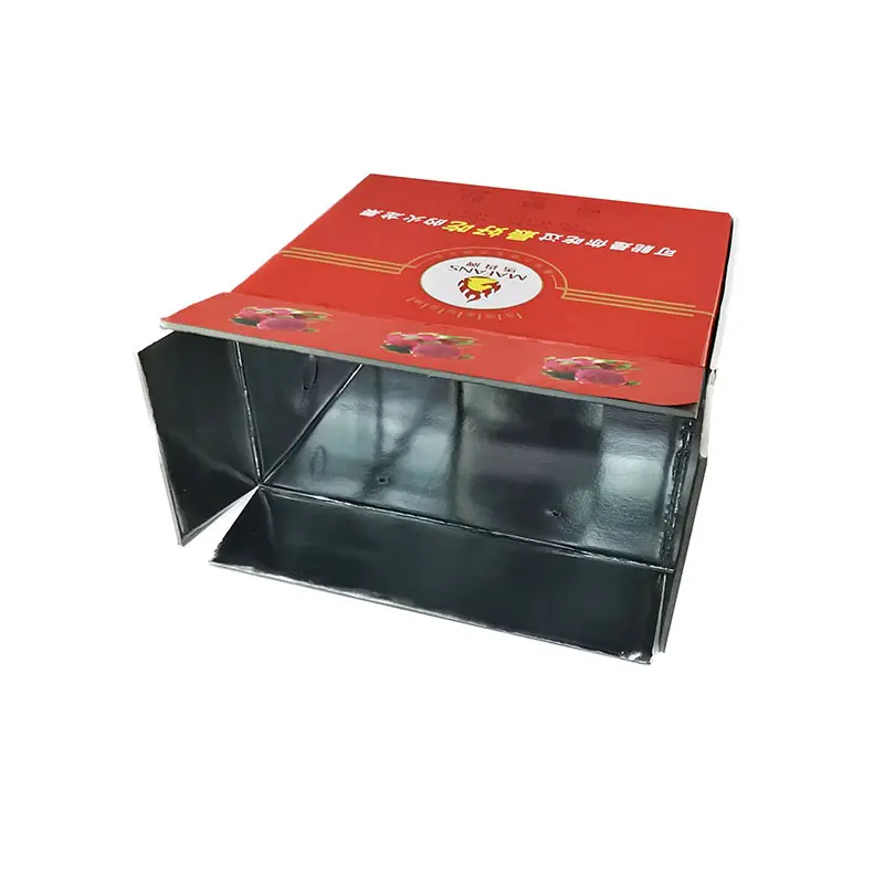 Customized Thermal Insulated Aluminum Foil Epe/Eps Foam Shipping Transport Carton Box for Frozen Food Fresh Fruit Vegetables