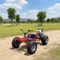 Buggy de Carreras para Adultos de 212cc y 4 Tiempos a Gasolina con Chasis de Alta Resistencia para Diversión en Parques de Atracciones al Aire Libre, Go Kart