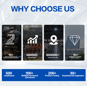 Personalización Cloudchuang-Cascos de Ciclismo de doble deporte para adultos, cascos de seguridad para adolescentes, cascos de ciclismo para bicicleta de carretera - Product Image 6