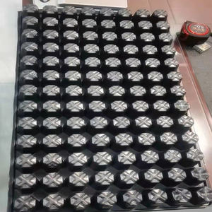 Plateaux <span class=keywords><strong>de</strong></span> semis pour semis, dispositif à 200 cellules Extra résistantes, pour semis - Product Image 5