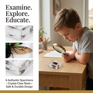 Kit Educativo de Ciencias Naturales con Insectos Taxidermiados en Resina Transparente para Material Escolar - Product Image 2