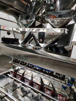 Machine de remplissage et d'emballage automatique multi-têtes à haute vitesse pour coupes de fruits surgelés (2, 4 ou 6 lignes)
