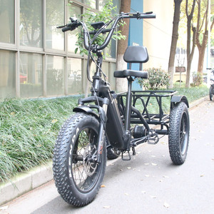 48V Lunbund 20 pouces tricycle vélos 30-50 Km/h vélo à trois roues vélo avec une <span class=keywords><strong>remorque</strong></span> cargo <span class=keywords><strong>pour</strong></span> adultes - Product Image 3