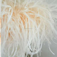 Boa en plumes d'autruche teintes de qualité supérieure, 2 mètres, 10 plis, coloré et naturel, pour foulard féminin ou décoration intérieure, carnaval