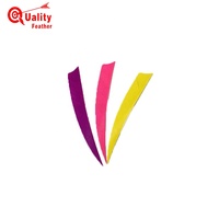 Vente en gros JINYUQI 50 pièces aile droite 5 ''bouclier plume de dinde 14 couleurs flèche empennage tir chasse bricolage tir à l'arc flèche arbre