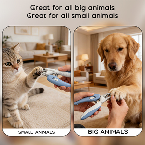 Ensemble de coupe-ongles pour animaux de compagnie en acier inoxydable avec lumière LED pratique pour le nettoyage et le toilettage des griffes des petits animaux, respectueux de l'environnement - Product Image 6