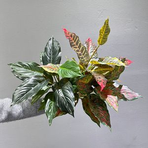 Planta Artificial Meng Jie de Hojas Perennes, 14 Hojas, Follaje de Plástico, Decoración para el Hogar, Verde, Rojo, Amarillo - Product Image 2