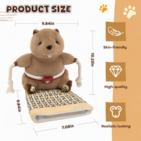 Nouveau jouet interactif pour chat, marionnette en peluche, gant de lutteur, fabricant 2026, jouets interactifs personnalisés durables à mâcher pour chats et chiens en corde