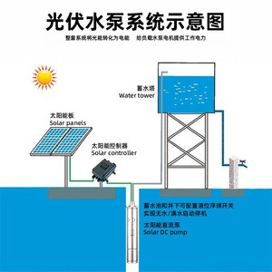 Bomba de Agua Solar de 24V CC para Pozos Profundos, Bomba de Riego Agrícola de Alta Presión, Tipo Tornillo, Controlador Incluido - Product Image 2