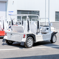 Certificat ECC chinois, pneu tout-terrain, batterie grande capacité, mini-voiture électrique en aluminium, Jeep Moke