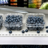 Boîte d'emballage en gros pour fruits de ferme, conteneur en plastique PET transparent ventilé pour myrtilles